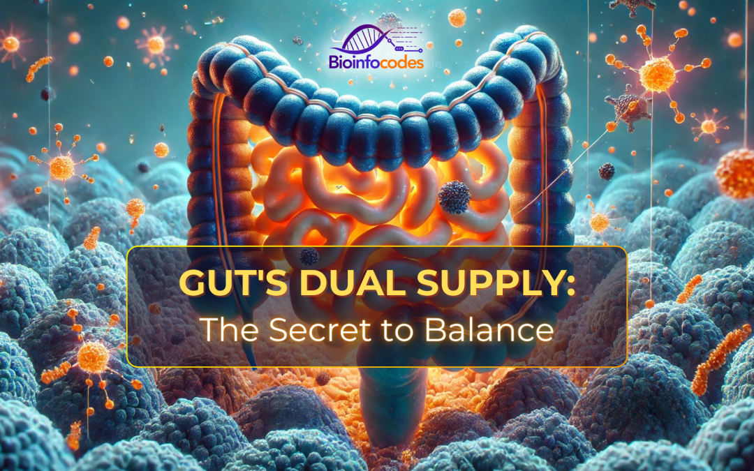Gut’s Dual Supply: The Secret to Balance