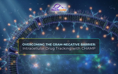 Overcoming the Gram-Negative Barrier: Intracellular Drug Tracking with CHAMP
